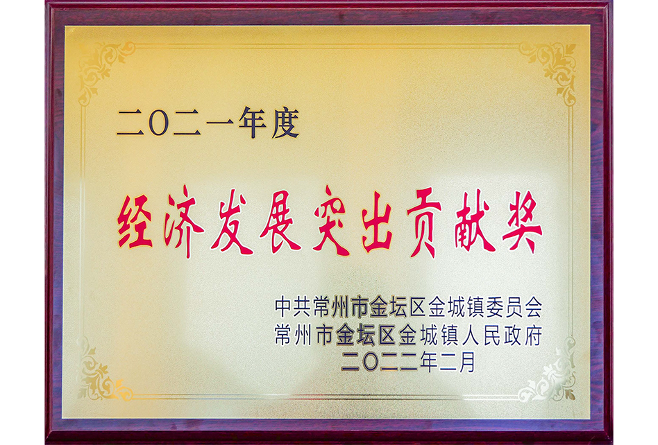 經(jīng)濟發(fā)展突出貢獻獎